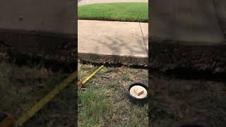 Celebrity Driveway Voidfill Wealth