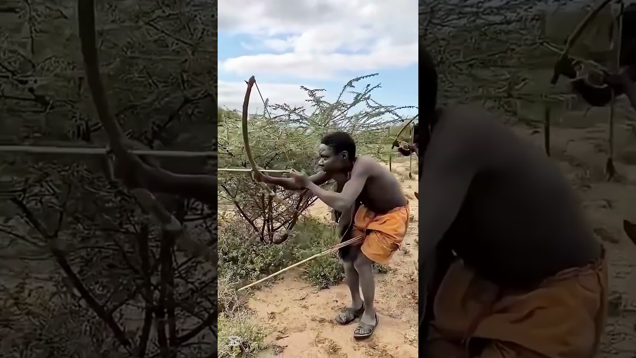 “Lion Movement Caught on Camera | A Calm Wildlife Observation Moment”