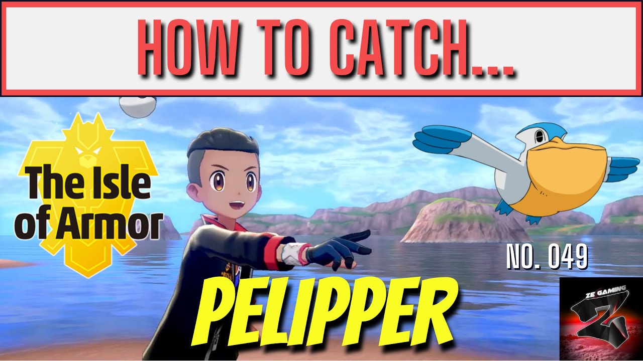 Where to find Pelipper in Pokémon Sword and Shield | Isle of Armor | Ze Gaming |