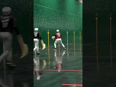 DIVING INTO THE CROWD FOR THE SHOT! #jaialai #sports #highlights