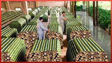 How to Processing Millions Bamboos to Product - Straws, Bamboo Houses, Plywood, Chopstick Factory