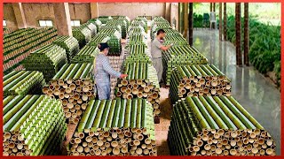 How to Processing Millions Bamboos to Product - Straws, Bamboo Houses, Plywood, Chopstick Factory