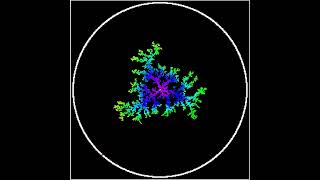 Diffusion Limited Aggregation