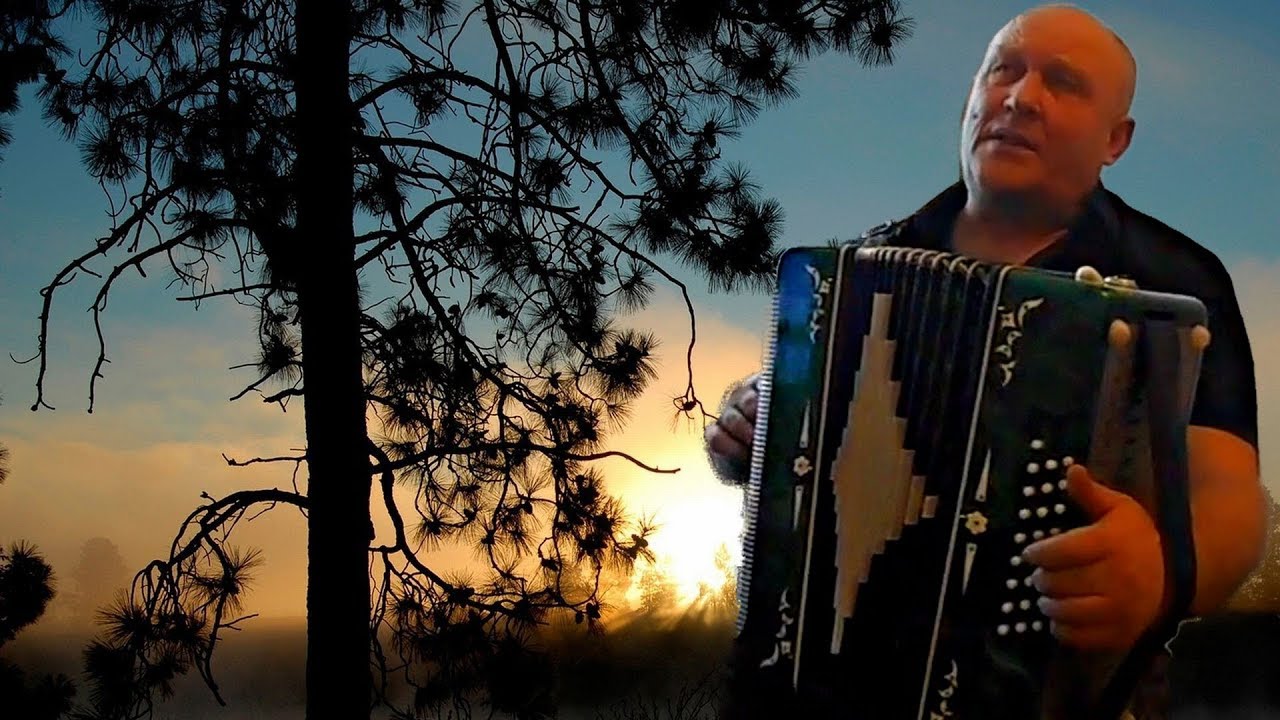 Стояла чудная сосна d Лучшие НАРОДНЫЕ песни под ГАРМОНЬ? Играй гармонь ...