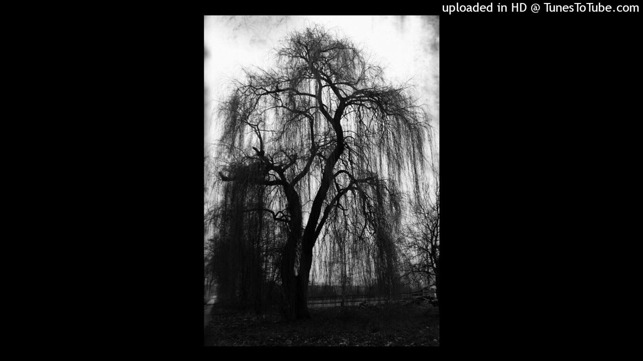 (free) nine vicious x apollored1 type beat 