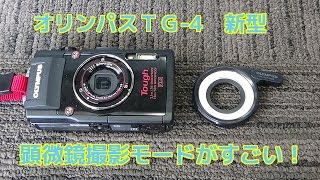 OLYMPUS STYLUS TG-3の後継ＴＧ-4の顕微鏡撮影モードがすごい！メダカの卵を撮影してみましたToughオリンパス