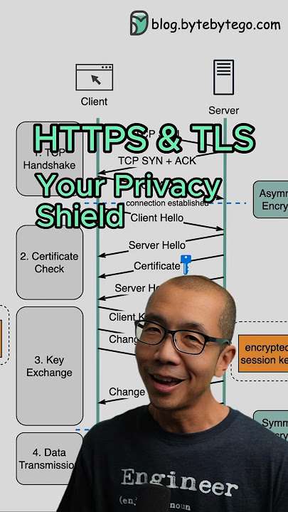 HTTPS & TLS: Your Privacy Shield  #javascript #python #web #coding #programming