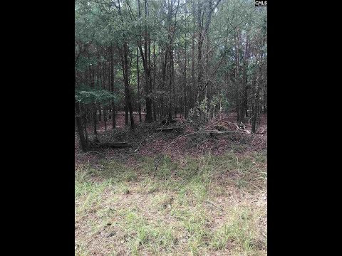 6 Peninsula Drive, Prosperity, SC home video tour