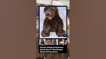 Disney California Adventure Bear puppet! THRIFT STORE finds! #shorts