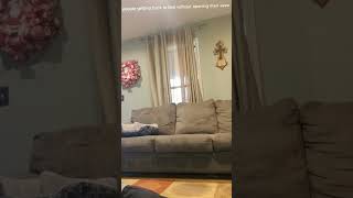 Proof Sleep Walking Videos Arent Fake