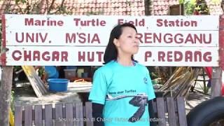 UMTMOOC : Sea Turtle Biology & Coservation 2016 | Behind the scene