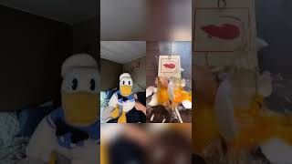 Donald Ducc Doesn’t Like The Mouse Trap