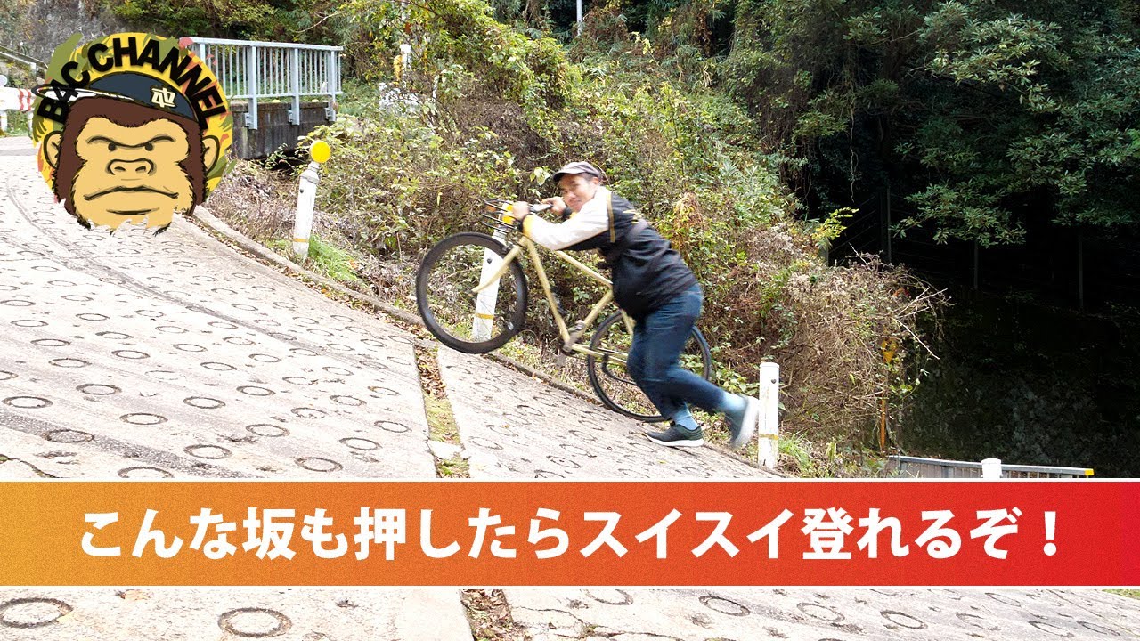 フリーパワー vs 暗峠！ 激安ロードバイク最後の聖戦 酷道308号に散る