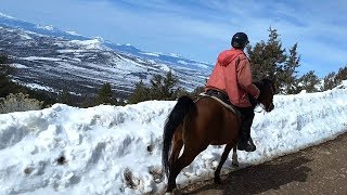 Mid March ride up Grizzly Mountain