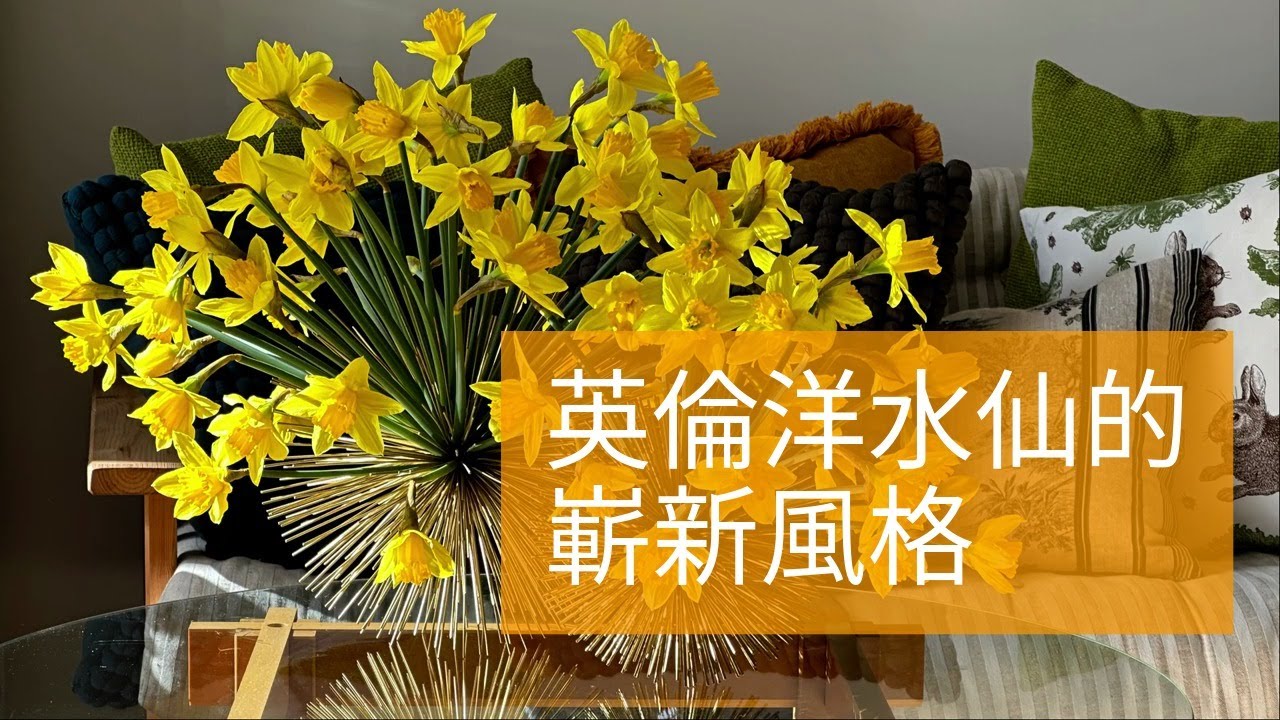 英倫洋水仙的嶄新風格 | Daffodils ball | OMAKASE 大師SOLOMON 花藝教室 | 家居鮮花插花擺設 |