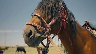 Beneath a rainbow: Silk Road Caravan in Kazakhstan