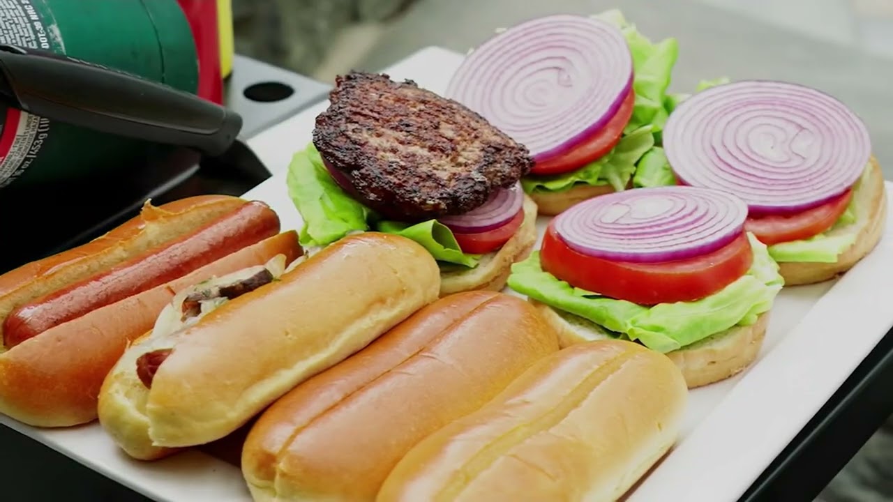 Blackstone 17" Portable Outdoor Griddle with Hood,Carry Bag &amp; Tool Kit on QVC