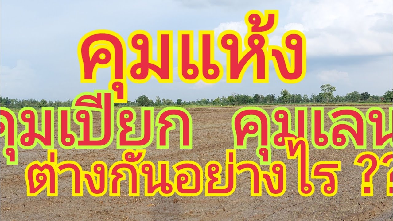 คุมแห้ง คุมเปียก คุมเลน  แตกต่างกันอย่างไร ??  ที่นี่..มีคำตอบ 🌾 สนใจผลิตภัณฑ์ 0899428684 0925164252