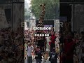Quieren vigilancia externa para detectar fallas en zoológicos de CDMX