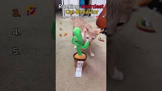 Ranking Weirdest Cat Behavior #cat #viral #viralvideo #shorts #short #funny #memes