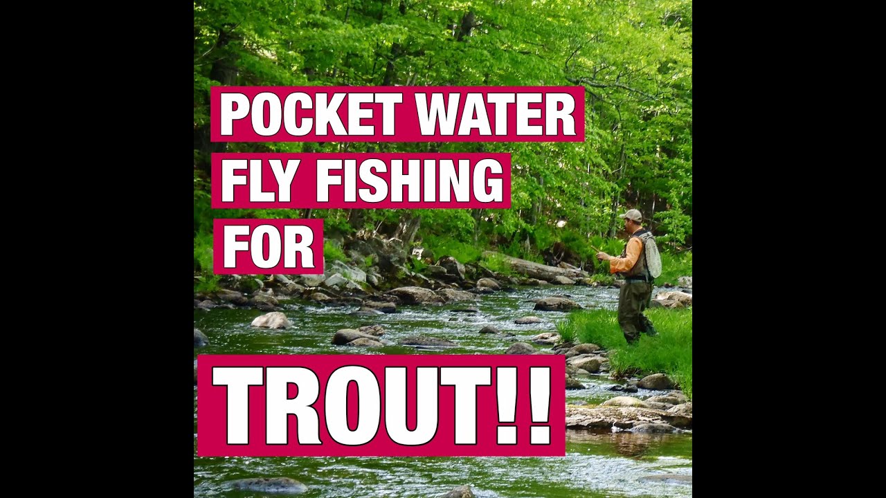 POCKET WATER FLY FISHING FOR TROUT! YouTube