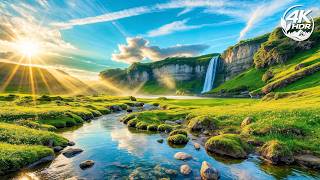 Soothing Healing Music 🍀 Release Stress & Anxiety, Quiet Your Mind, Deep Relaxation & Inner Peace