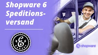 Shopware 6 Speditionsversand - So bietest Du diese Versandart nur für ausgewählte Produkte an