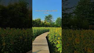 နေပြည်တော် ပျဥ်းမနားမြို့က PNPT Sport Farm
