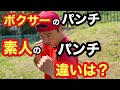 ボクサーのパンチと普通のパンチの違いとは。方法　やり方　ボクシング　プロボクサー　動画