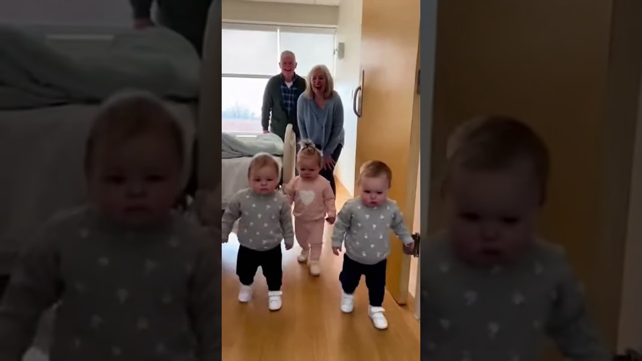 Тройняшки-малыши вошли как настоящие боссы 😂 