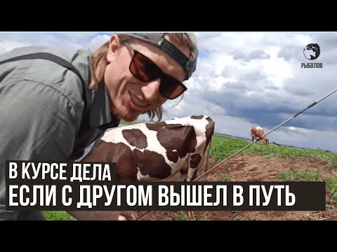 Если с другом вышел в путь / В курсе дела / #59