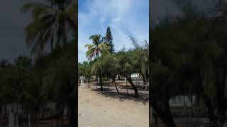 Trojes Michoacán lo que queda del Pueblo de trojes Michoacán