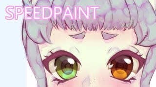 YCH commission 【Speedpaint - Paint Tool SAI】
