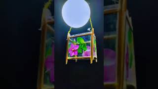 Just Looking Like A Wow