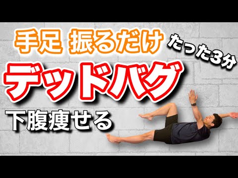【3分でお腹痩せ】デッドバグは手と足を振ると腹筋100回より下腹痩せる