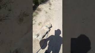 Con mi fiel compañero en las salinas de la mata de Torrevieja ❤️ Juan Vicente Plaza García