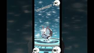 LETS EVOLVE IT WOOLOO!!!#POKÉMON GO #SHINNY#LETSEVOLVEIT!!!#WOOLOO