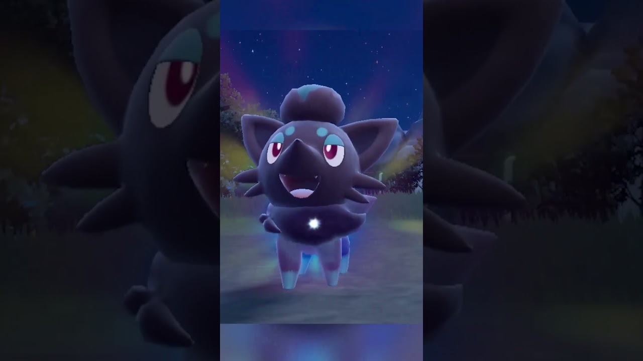 SHINY EVOLUTION: Zorua to Zoroark Pokemon Scarlet Violet