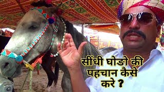 How To Know Or Justify Sindhi Breed Horse Purity