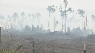 Fire season in effect: Several brush fires across the panhandle in one week