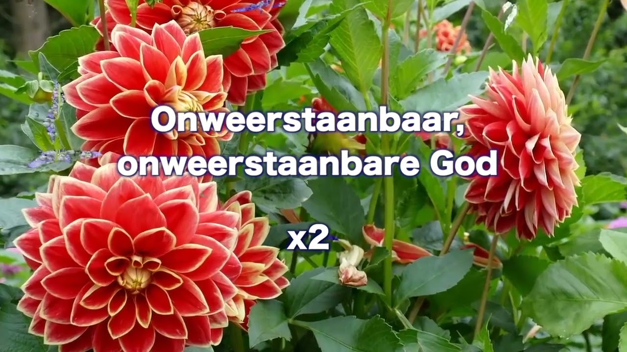 Opwekking 693 Vaste grond