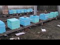 Зимой покрасил уля ппу