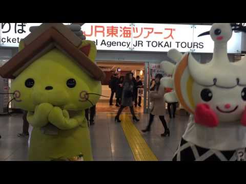 2016.01.09 しまねっこ＆つわみんダンス（つわの乙女トラベラー）＠東京駅JR東海ツアーズ
