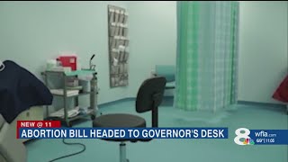 Florida Senate passes bill banning abortions after 15 weeks