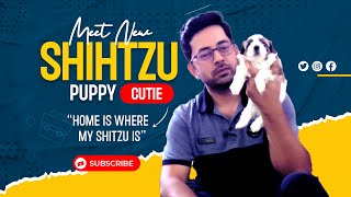 Meet new cutie Shih tzu puppy | Shih Tzu dog breed information | Buy Shihtzu by Sri Sai Pet World 593 views 6 months ago 3 minutes, 50 seconds