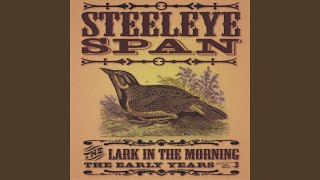 Video thumbnail of "Steeleye Span - The Lark in the Morning"