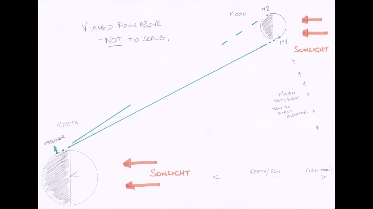 Lunar Observations for Madlion