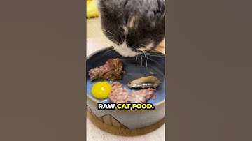 Use code BKPETS for 20% off @vivarawpets new raw cat food! 🐈🥩 #vivarawpets #vivarawpartner