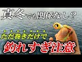 真冬の堤防であらゆる魚が巻くだけで釣れまくる！この釣り方はやはりヤバかった【魚子ラバ実釣インプレ】