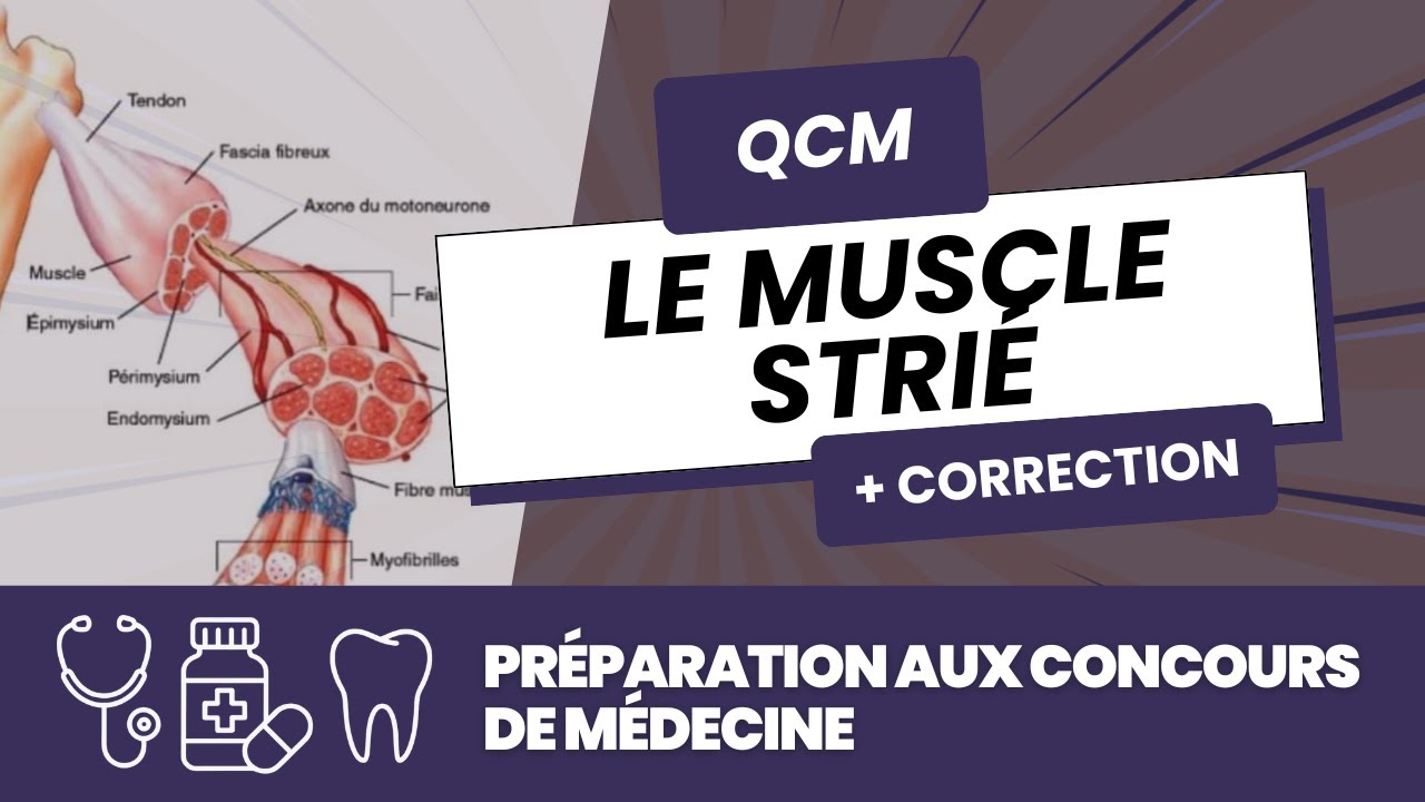 QCM & CORRECTION – Rôle du muscle strié ⚡️ | Préparation Concours Médecine